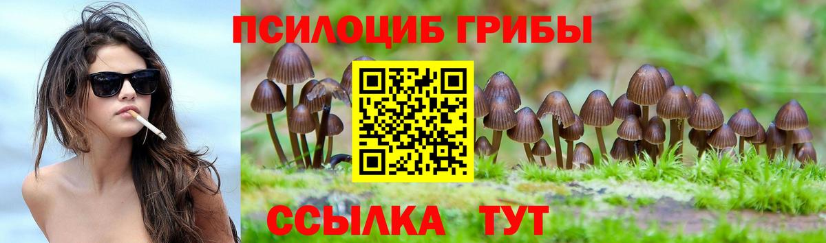 Псилоцибиновые грибы MAGIC MUSHROOMS Котлас